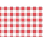 Gingham rood Vetvrij papier 200 stuks